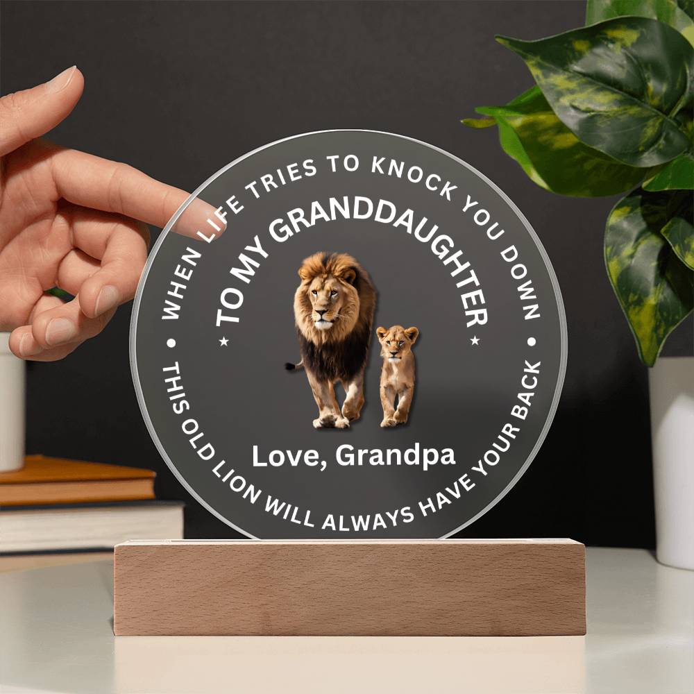 Special Gift For Granddaughter - LED Acrylic Plaque - SO#1472