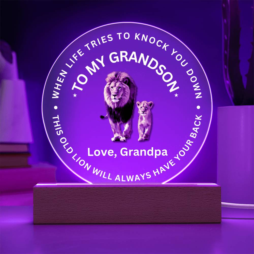 SPECIAL GRANDSON GIFT - LED Acrylic Plaque - SO8494
