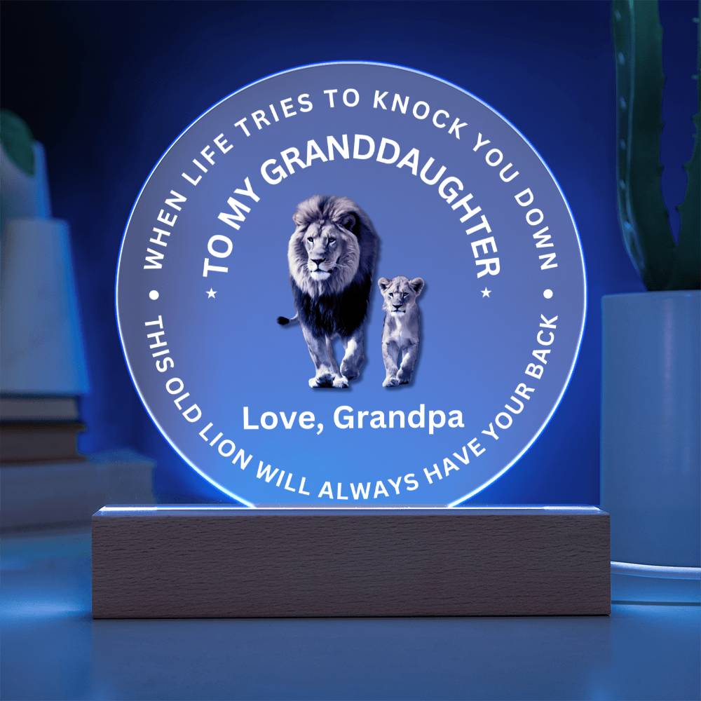 Special Gift For Granddaughter - LED Acrylic Plaque - SO#1472