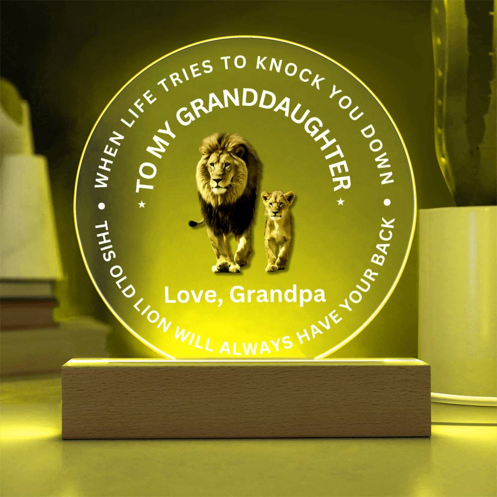 Special Gift For Granddaughter - LED Acrylic Plaque - SO#1472