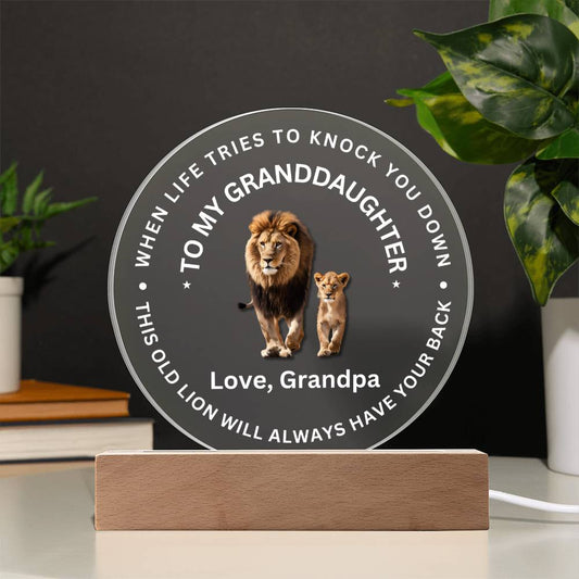 Special Gift For Granddaughter - LED  Acrylic Plaque - SO#1472